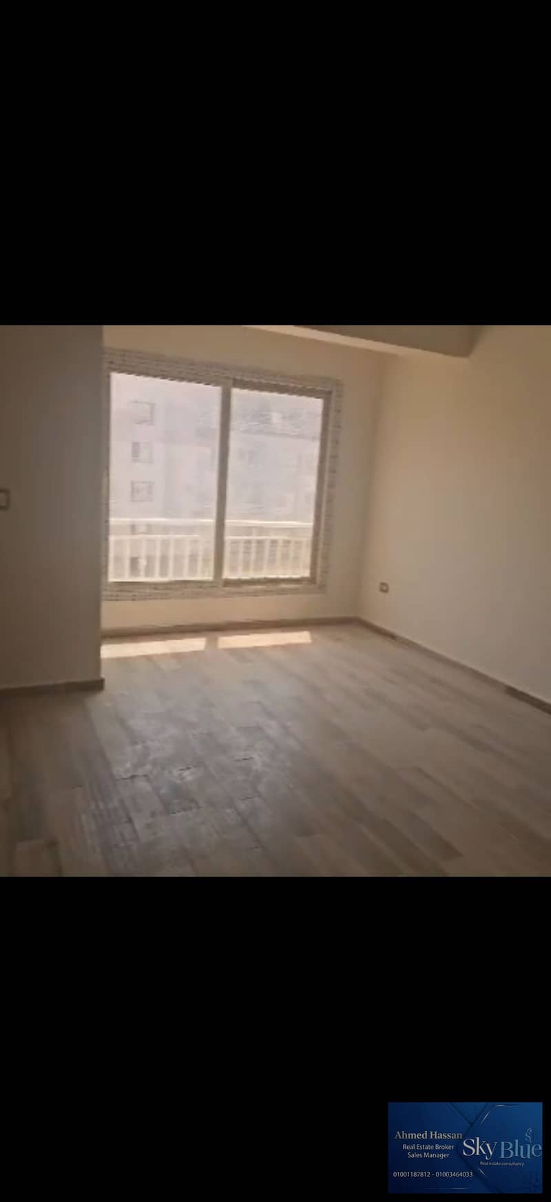 7 462310. jpg