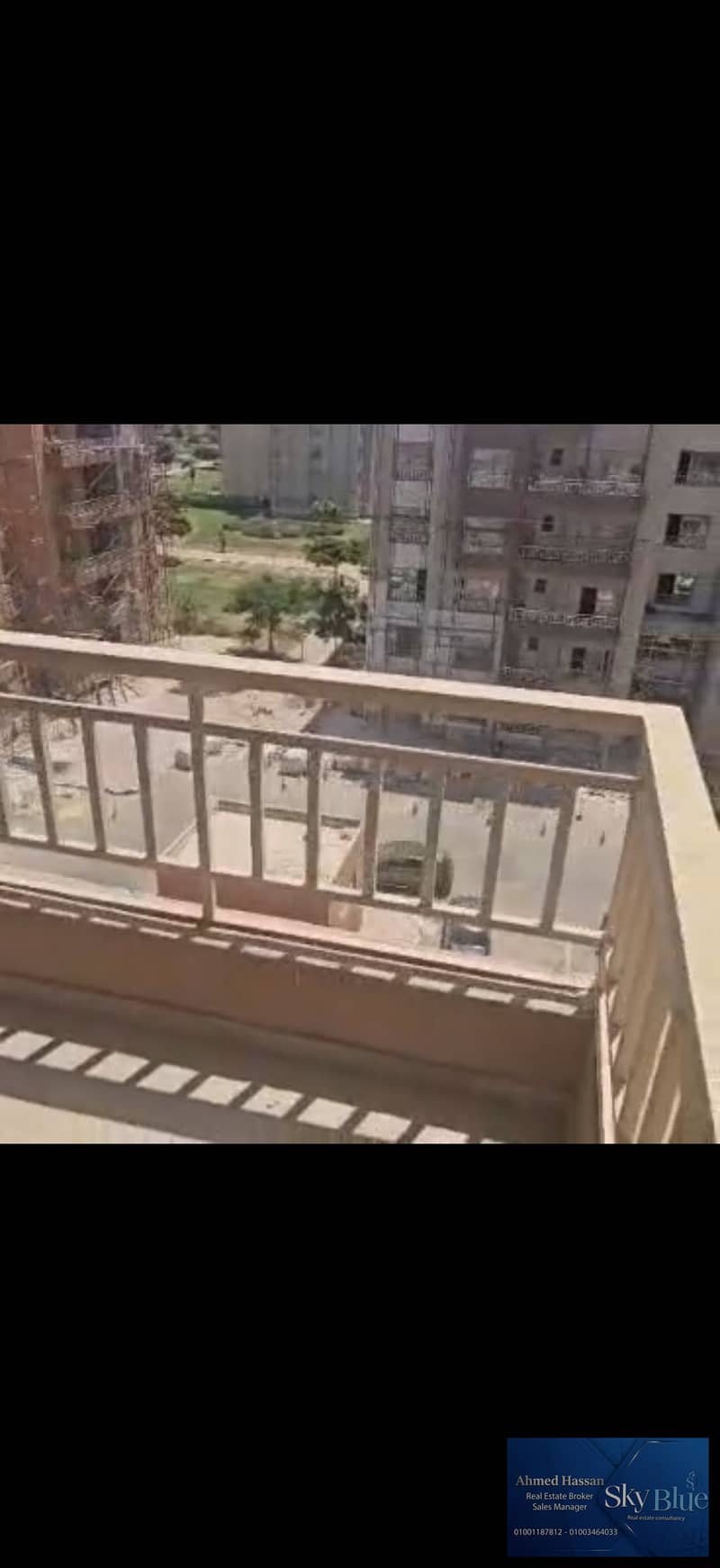 8 462318. jpg
