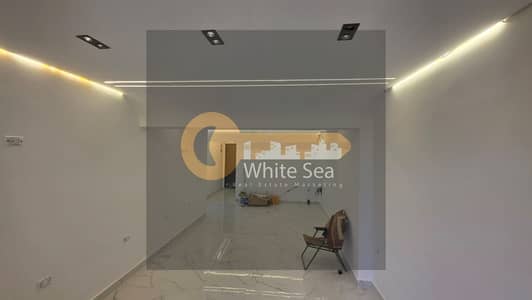 مکتب للايجار في سيدي جابر، الإسكندرية - 1001261482. jpg مکتب للايجار في سيدي جابر، الإسكندرية - 1001261482. jpg