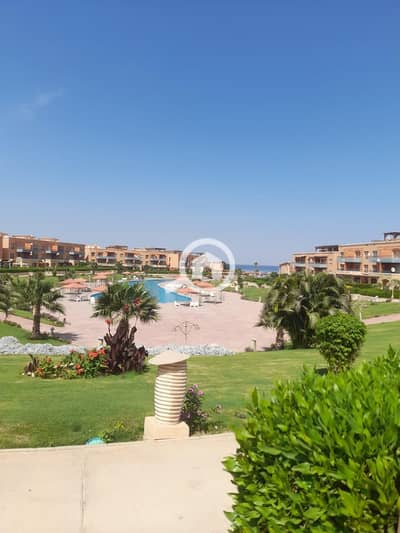 شاليه 3 غرف نوم للايجار في العين السخنة، السويس - 1000221470. jpg شاليه 3 غرف نوم للايجار في العين السخنة، السويس - 1000221470. jpg
