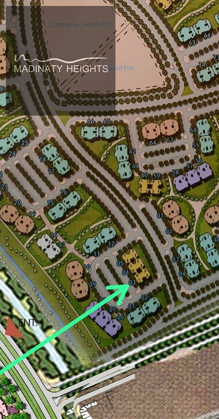 2 167359. jpg
