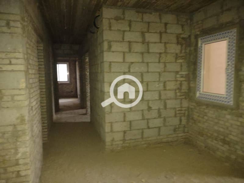 6 153771. jpg