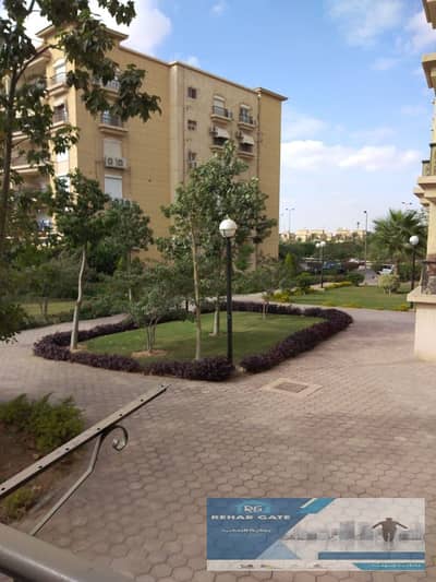 4 Bedroom Flat for Rent in New Cairo, Cairo - 297735. jpg 4 Bedroom Flat for Rent in New Cairo, Cairo - 297735. jpg