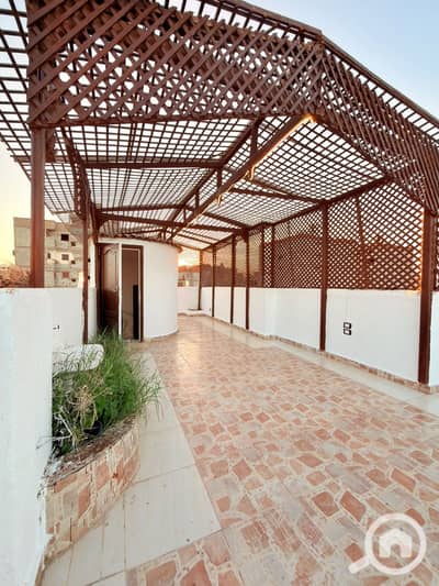 فلیٹ 4 غرف نوم للبيع في النخيل، الإسكندرية - 1000760268. jpg فلیٹ 4 غرف نوم للبيع في النخيل، الإسكندرية - 1000760268. jpg