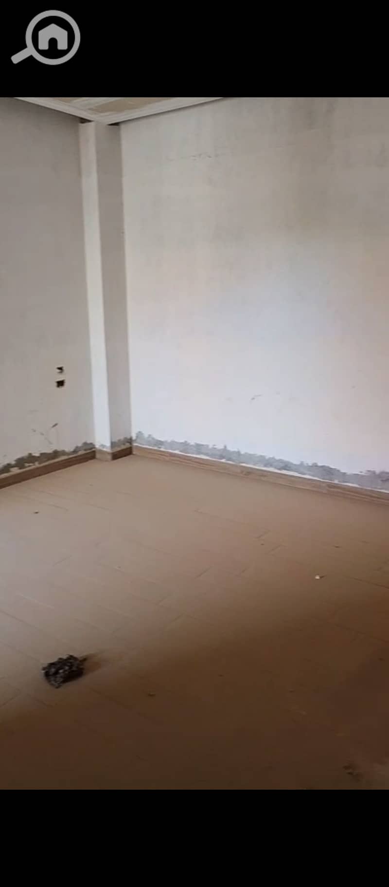 7 1000135159. jpg