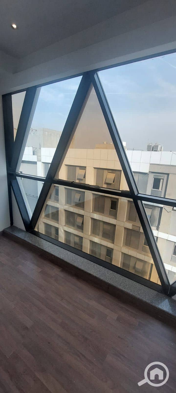 6 1000135742. jpg