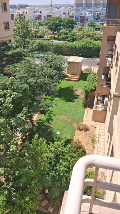 3 Bedroom Flat for Rent in Madinaty, Cairo - IMG_7057. jpeg 3 Bedroom Flat for Rent in Madinaty, Cairo - IMG_7057. jpeg