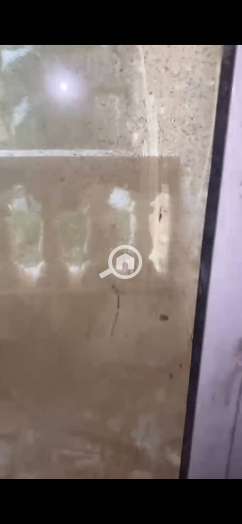 6 1074025. jpg