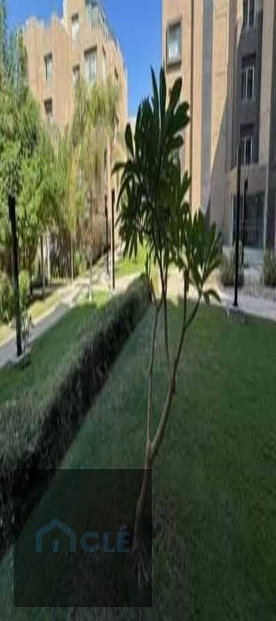 13 WhatsApp Image 2026-10-30 at 05.59. 39. jpeg