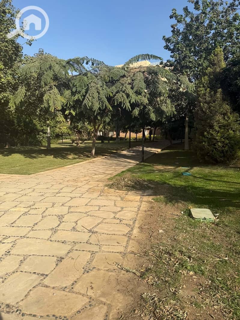 4 1000161980. jpg