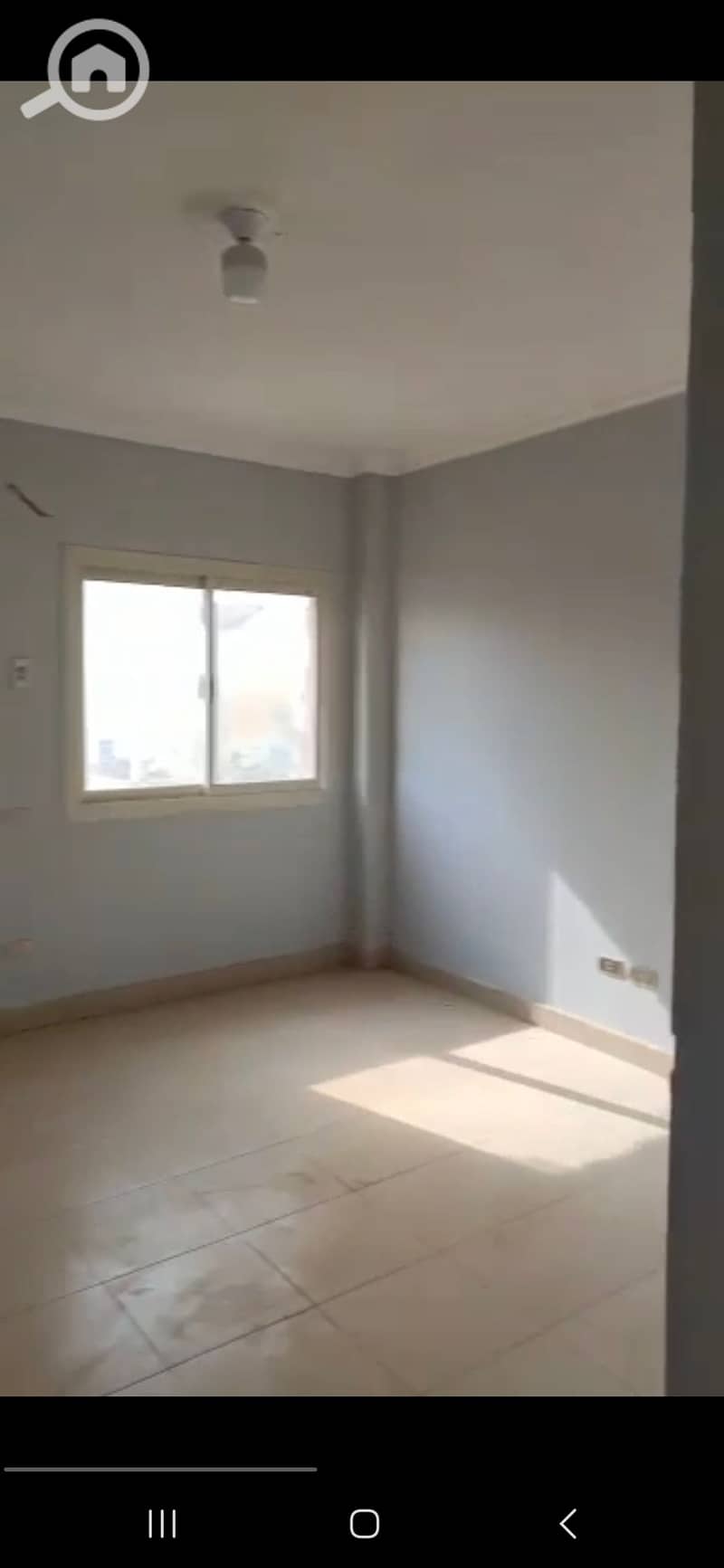 3 122382. jpg